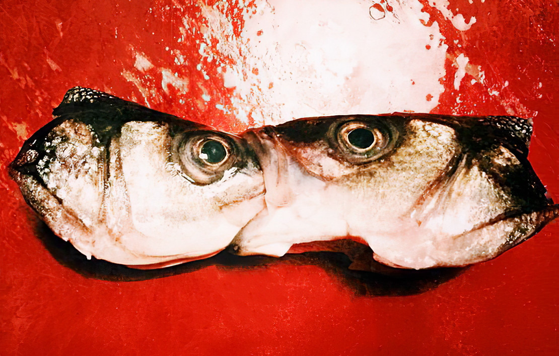 Göğüs Boşluğunda Zikzaklar