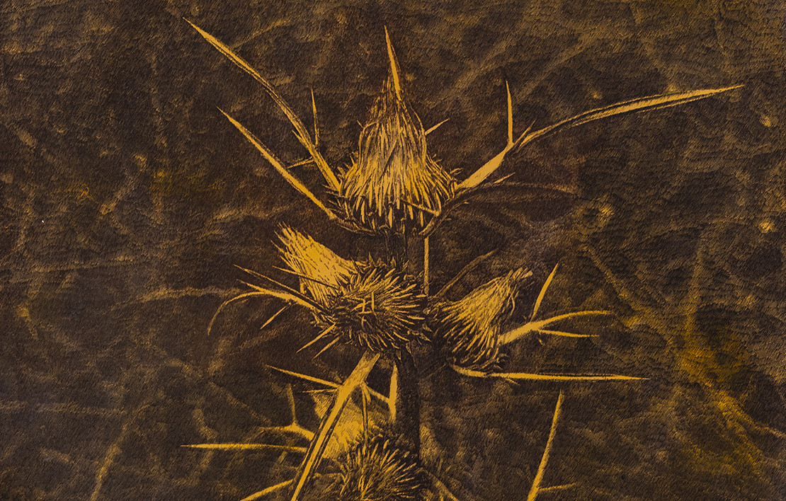 Kayada Büyüdüm Ben