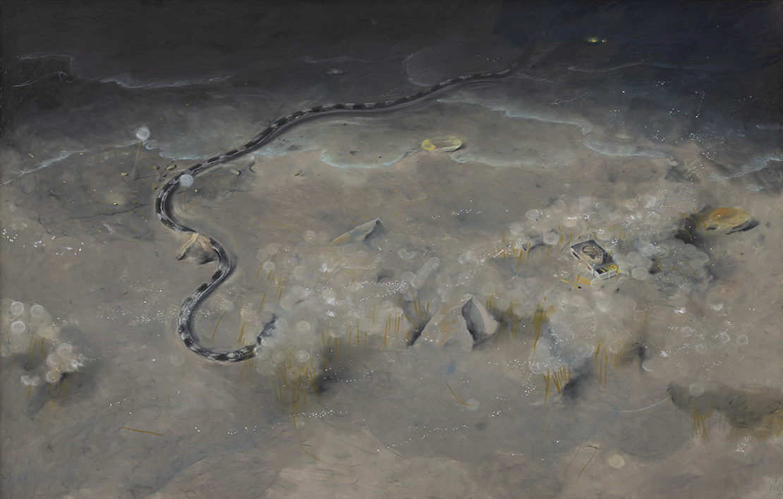 Kayada Büyüdüm Ben