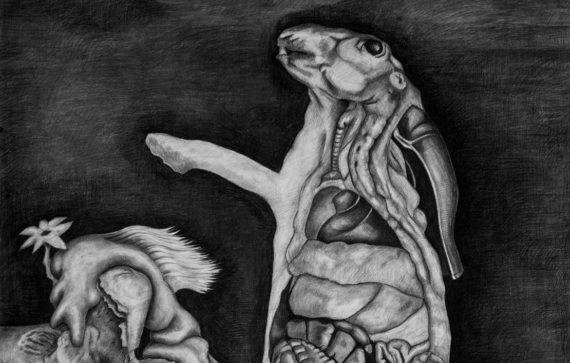 Dünya Kalıntısı ve Yeni Çiçekler