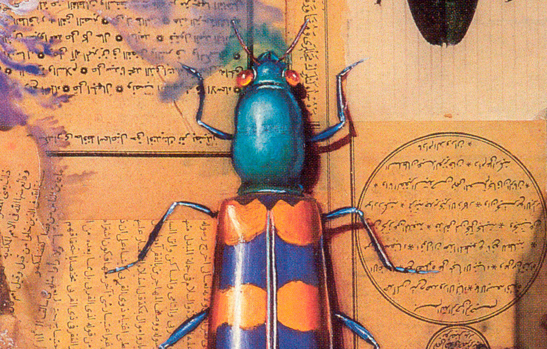 İlk Desenler 1965-1980