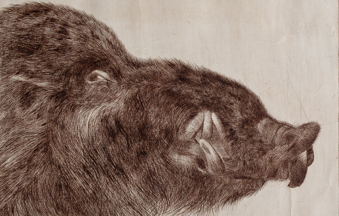 Tahassüs ve Heyecan