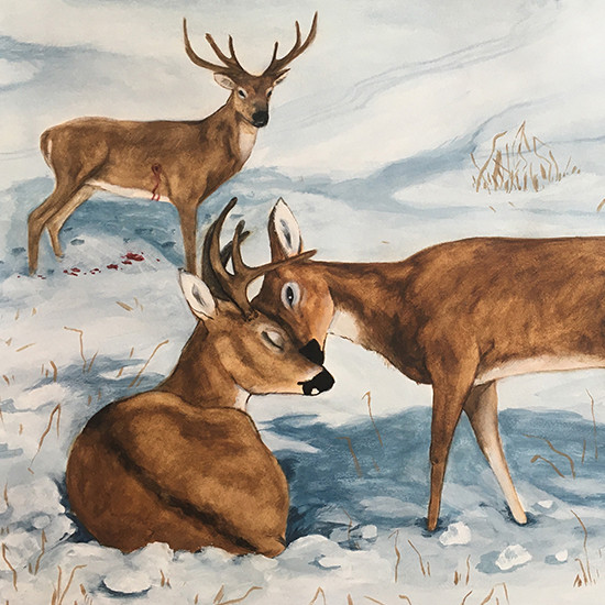 My Name Was Written On Every Page