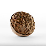 Kayada Büyüdüm Ben