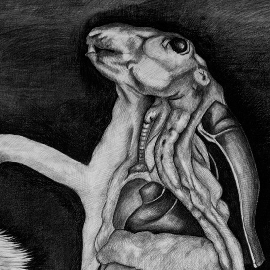 Dünya Kalıntısı ve Yeni Çiçekler