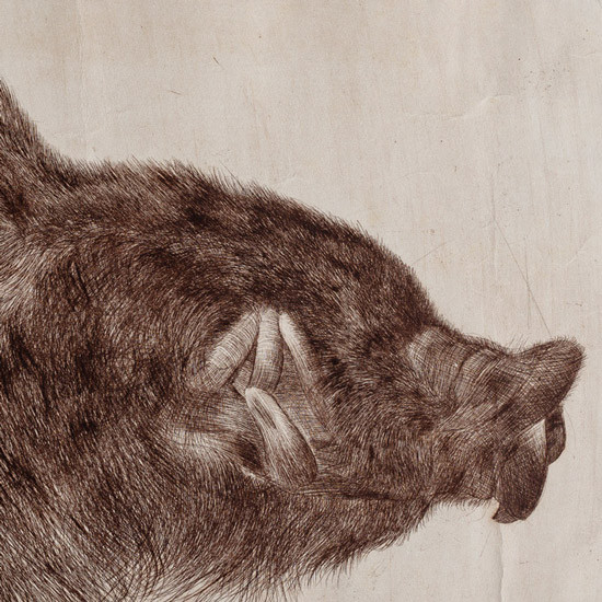 Tahassüs ve Heyecan